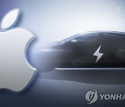 현대차-애플, 전기차 공동 개발 기대감.."가능성 충분"