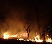 부산 배산 3부 능선 불..2시간 만에 진화