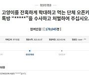 "길고양이 죽였다고 자랑하며 낄낄"..경찰, 단톡방 수사 착수