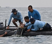 추락한 印尼 여객기 수색 착수.."파편·신체 일부 발견"