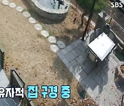 '동물농장' 10개월째 마을 무단취식 공작새 화제 "길고양이 사료 뺏기도" [TV캡처]