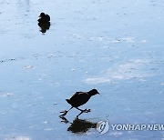 살짝 풀렸지만 아직 맹추위..오후 중부·남부 눈