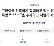 "길고양이 살해·학대하고 낄낄"..단톡방 처벌 국민청원