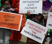 INDIA STRIKE AGRICULTURE