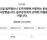 "1월 1일 음주 뺑소니 사고로 동생을 잃었습니다"