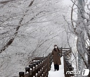 [오늘의 날씨] 제주(11일, 월)..눈·비, 산지 최대 15cm 눈 추가