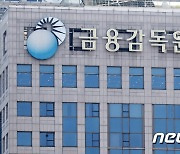 금감원, 26일 외부감사제도 온라인 설명회 개최