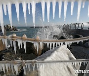 울산시, 최강 한파 효과적 대응..피해 최소화