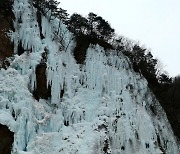 북극 한파에 빙벽이 된 인제군 용대리 인공폭포