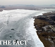 [TF포토] '얼음으로 뒤덮인 시화호'