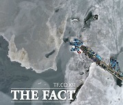 [TF사진관] '시화호도 꽁꽁 얼려버린 북극한파'