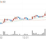 레이, -7.97% VI 발동