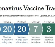 [백신 업데이트]임상 중인 코로나19 백신 64건, 최종 임상 20건, 승인백신 10개