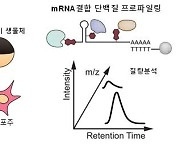 코로나 백신 만드는 mRNA 원리 설명할 새 분석방법 개발