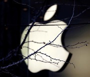 [News analysis] Will cooperating with Apple hurt or benefit Hyundai Motor Company?