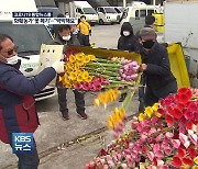 코로나 1년 "더는 못 버텨"..꽃 폐기하는 화훼업계