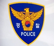 경찰, '동물판 n번방' 길고양이 학대 오픈채팅 강제수사 착수