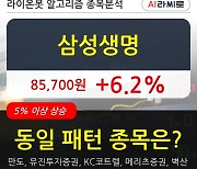 삼성생명, 상승출발 후 현재 +6.2%.. 외국인 기관 동시 순매수 중