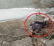 2주 전 실종된 고양 발달장애인이 입고 있던 점퍼 한강 강변서 발견