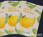 전남농기원, 바나나 재배기술 매뉴얼 완성