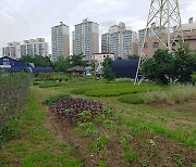 강동구, 허브체험공원 조성..주민이 직접 심고 힐링까지