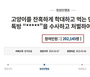 '고양이 학대 채팅방 처벌'..靑 청원 20만 돌파