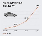 김동원의 캐롯손보..가입계약 수 10만건 돌파