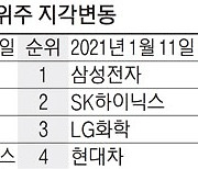 "애플과 손 잡는다고?" 현대차 시총 4위로 점프