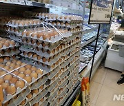 AI 확산, 계란 한판에 6000원 돌파
