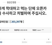 경찰, '길고양이 학대' 오픈채팅방 강제수사 착수