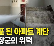 [영상] 북극 한파에 폭포 된 아파트 계단..숭어 10만마리 떼죽음