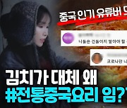 [영상] 이번엔 中 인기 유튜버 '도발'..김장 영상 올리고 '중국음식'