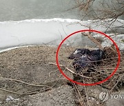 '실종 2주일' 고양 발달장애인 점퍼 한강 강변서 발견