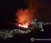 경북 영덕군 영덕읍 야산 산불 발생
