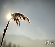 GERMANY WEATHER SEASONS