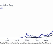 '먹을 만큼 먹었나'..연초 비트코인 펀드 자금유입 급감