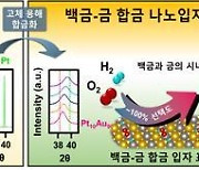 살균부터 반도체 생산까지 '과산화수소', 고효율 촉매 개발