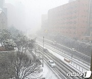 명동성당 앞 덮은 새하얀 함박눈