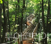 충남산림자원연구소,덕산·칠갑산·대둔산 도립공원 부분 개방