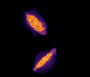 ALMA 망원경, 고대 은하 충돌 포착..거대한 가스 뿜어내