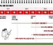 코로나 백신별 수급시기·공급량 불확실 최대변수