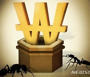 개미가 이끄는 '외끌이 장세' 불안감 커져..'공포지수' 반년만에 최고치