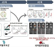 면역항암제 치료 효과 높이는 '장내 미생물' 발굴