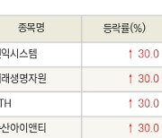 [fnRASSI]오늘의 상한가, 선익시스템 30.0% ↑