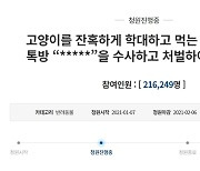 "동물판 N번방 사건, 강력 처벌하라"..靑 국민청원 21만명 돌파