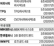 활황장에 웃지 못하는 PEF.."자금회수 기회? 매물 값도 치솟네"