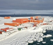 여기는 남극,1940억톤 빙하가 또 사라졌어요 [우리, 탄소중립 (6)]