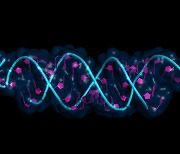 mRNA the key term at JP Morgan Healthcare Conference