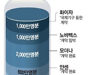 건강한 성인, 빠르면 9월 백신 접종..정은경 "11월에는 집단면역"