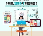 "화상회의 해도 방은 안 보여줄래요".. '캠테리어' 상품 불티